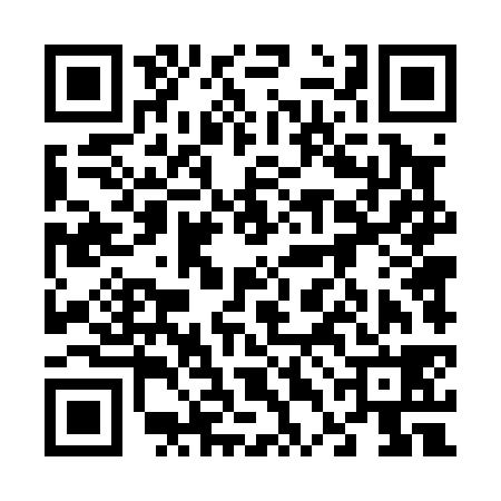QR code for 64D038G