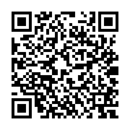 QR code for 64DYP17