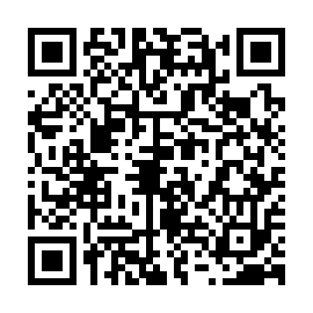 QR code for 64G313G