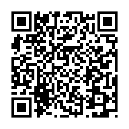 QR code for 64SD413