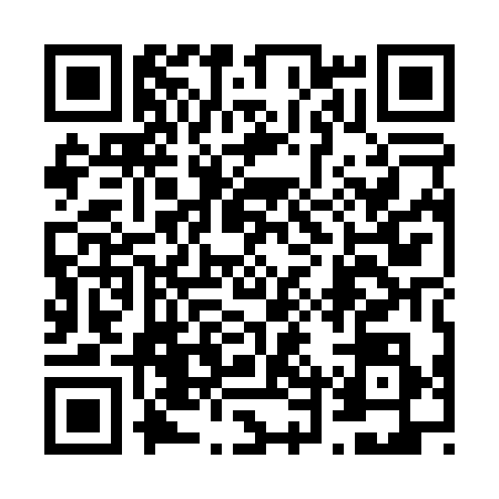 QR code for 64YP385