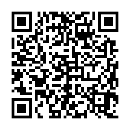 QR code for 65C380H