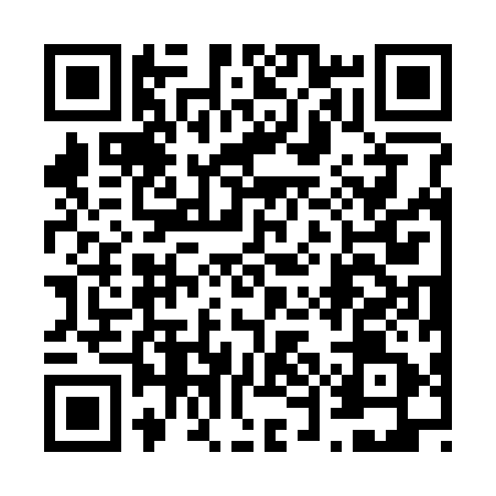 QR code for 65C391T