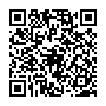 QR code for 65CT233
