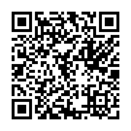 QR code for 65CZ386