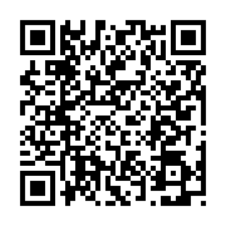 QR code for 65DNS41