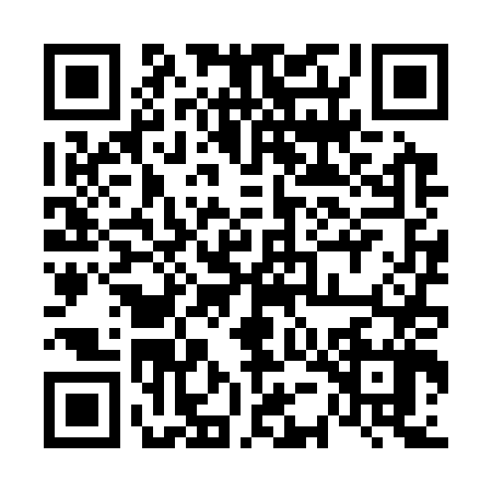 QR code for 65DS478