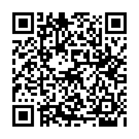 QR code for 65FL334