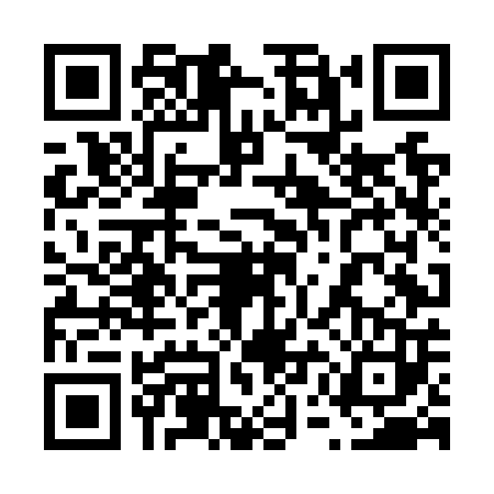 QR code for 65LNP33