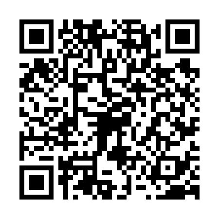 QR code for 65N6393