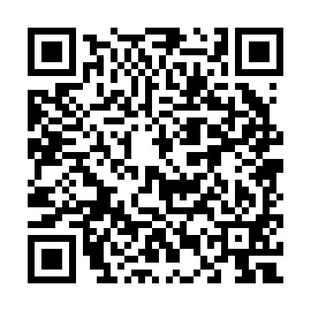 QR code for 65P291K