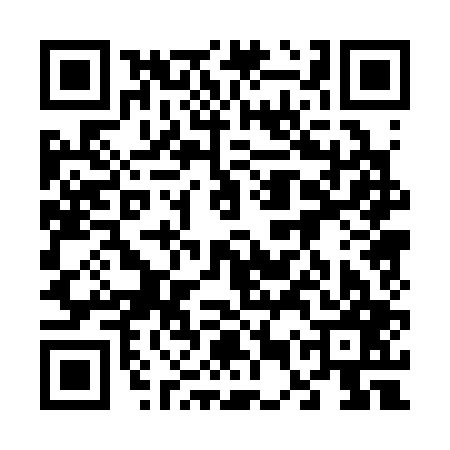 QR code for 65P307N