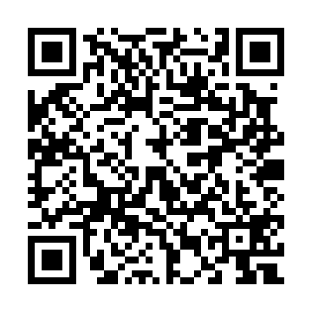 QR code for 65PP197
