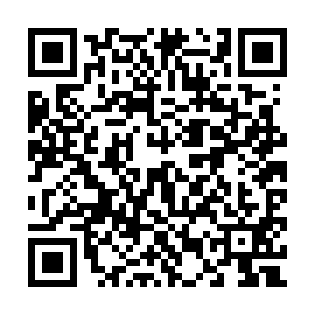QR code for 65RG911