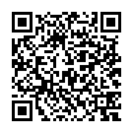 QR code for 65TM384