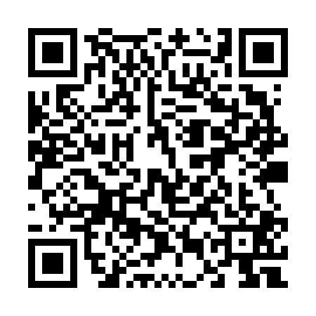 QR code for 65YV013