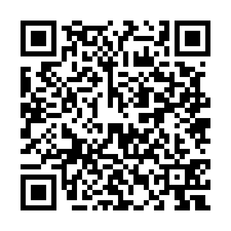 QR code for 65Z5313