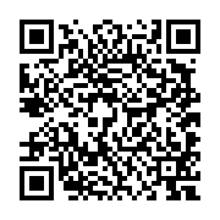 QR code for 66DD933