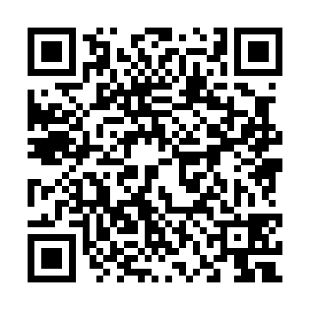 QR code for 66H038P