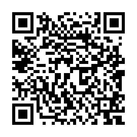 QR code for 66L300T