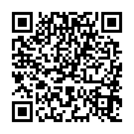 QR code for 66MS911