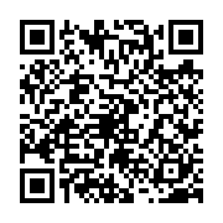 QR code for 66N6209