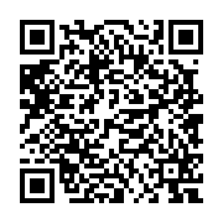 QR code for 66T065V
