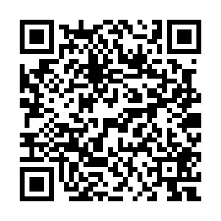 QR code for 66WP091