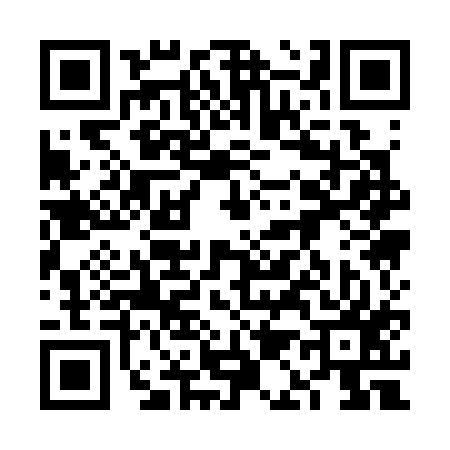 QR code for 6A1317Y