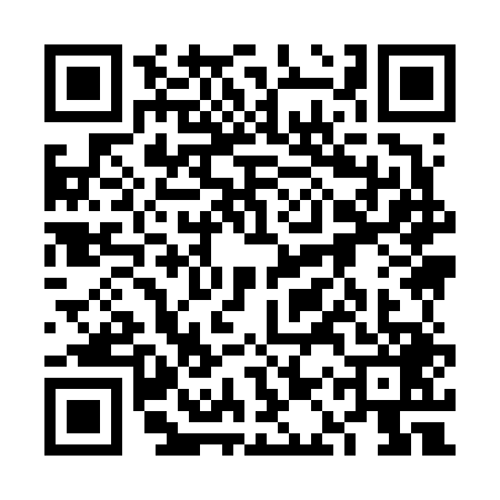 QR code for 6AY6494