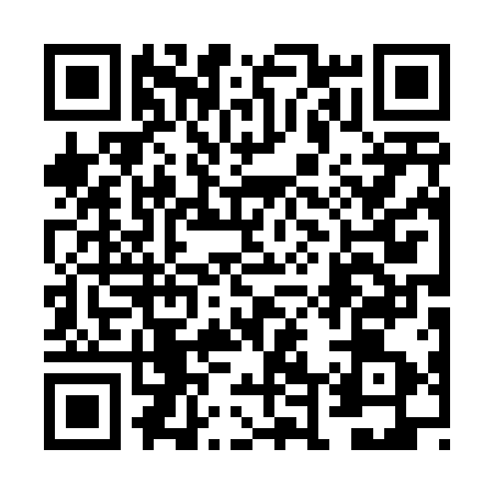 QR code for 6D0413L