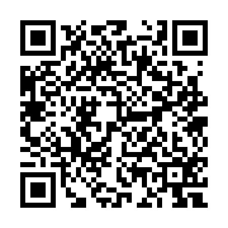 QR code for 6G33161