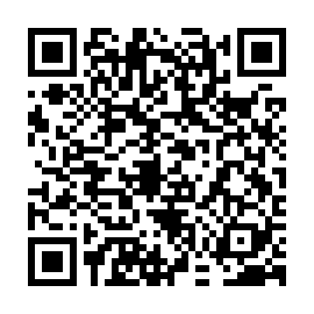 QR code for 6GSK295