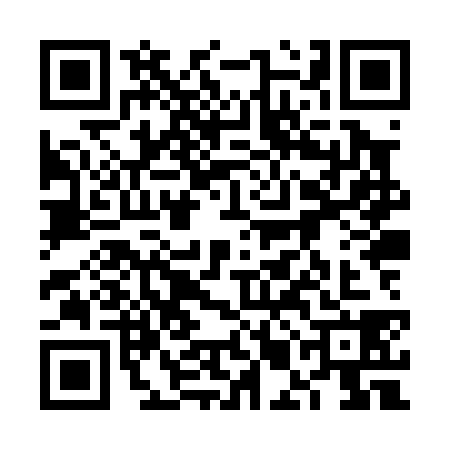 QR code for 6MHP387