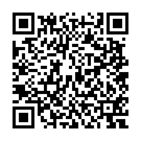 QR code for 6N2411M