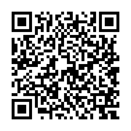 QR code for 6N49047
