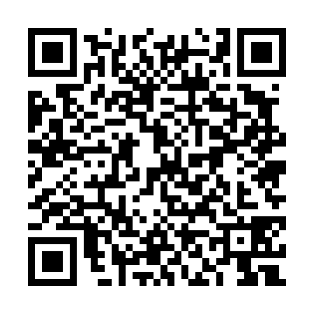 QR code for 6N54383