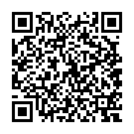QR code for 6N6010B