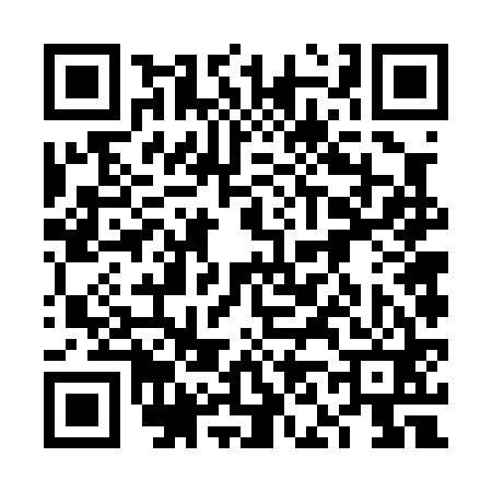 QR code for 6N6061P