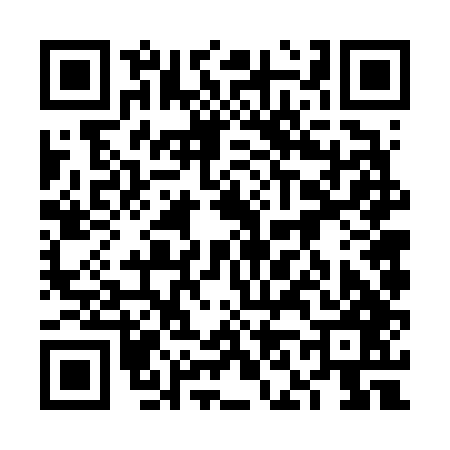 QR code for 6N6647L