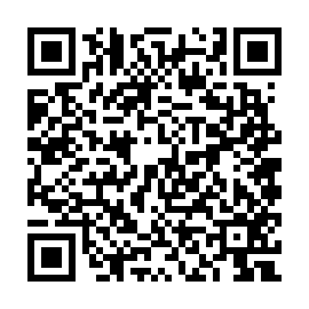 QR code for 6N6656M