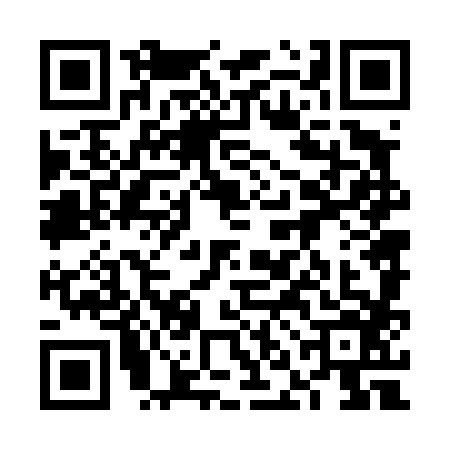 QR code for 6NN4863