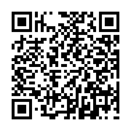 QR code for 6NP3984