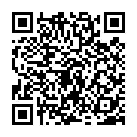 QR code for 6NV4384