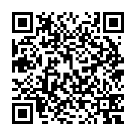 QR code for 6P1239Z