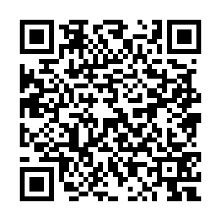 QR code for 6P85738