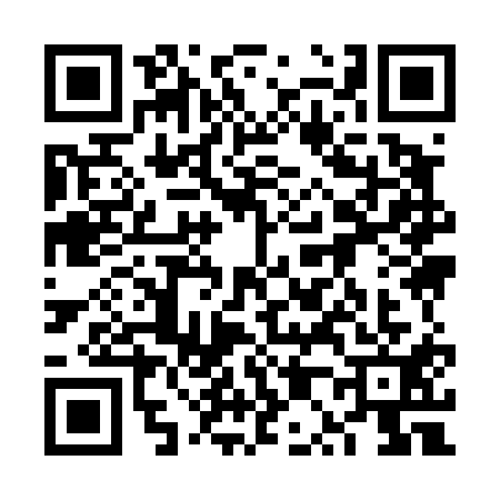 QR code for 6P94119
