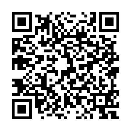QR code for 6P95919