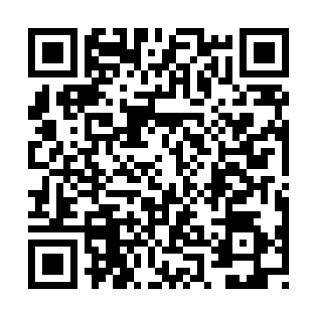 QR code for 6PAL341