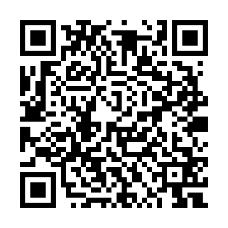 QR code for 6PAV628